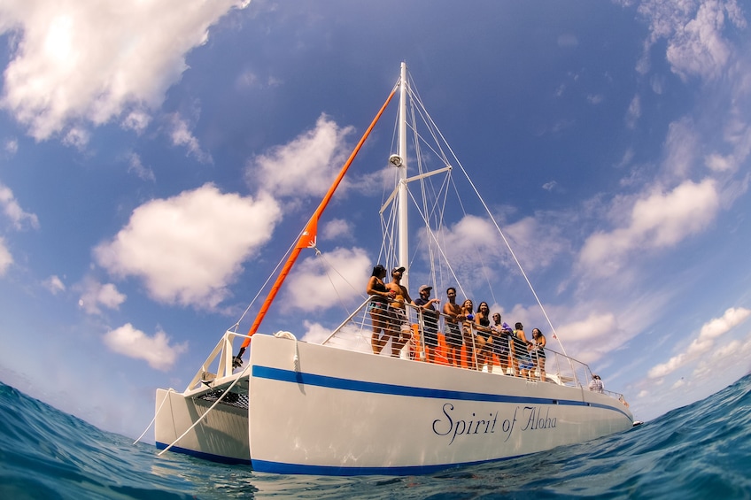 Snorkel Cruise and Lunch in English, includes Food and Drink