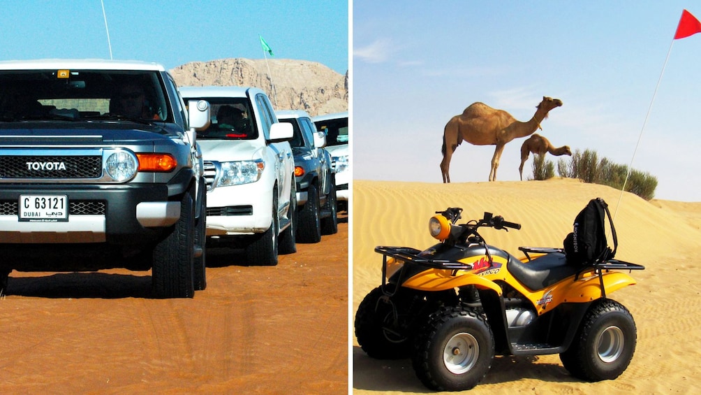 Show item 1 of 8. Combo image of 4x4 Desert Adventure and ATV Experience