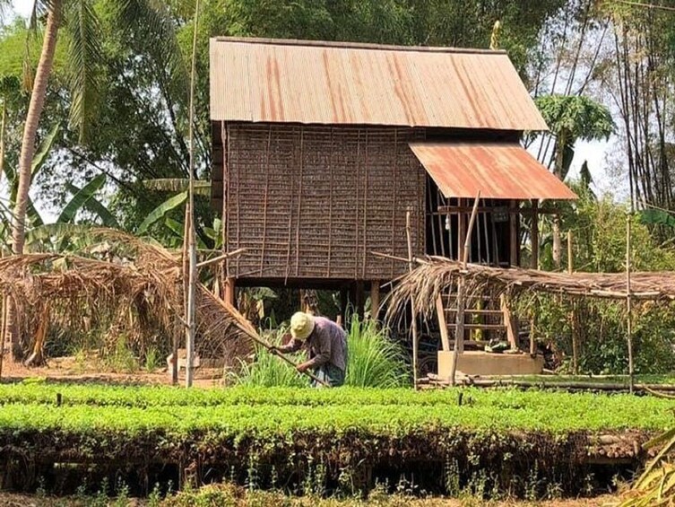 Full Day Battambang Bike Tour