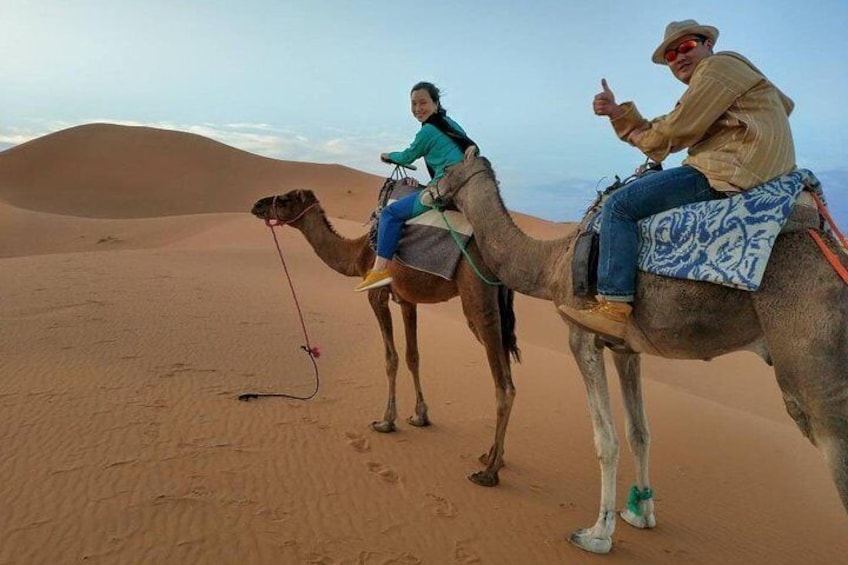 Camel ride 