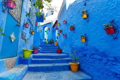 Walking Tour of Chefchaouen, the "Blue City" of Morocco - Full Day Tour