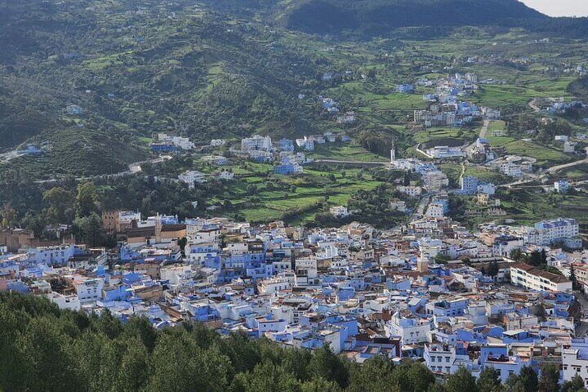 Walking Tour of Chefchaouen, the"Blue City" - One day group tour