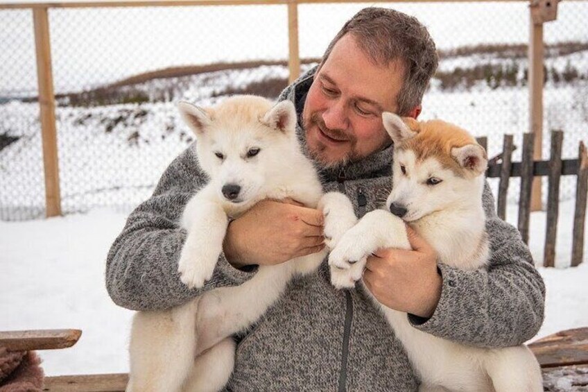 Husky Petting and Pictures in Akureyri (private)