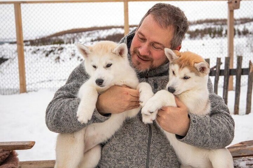 Husky Petting and Pictures in Akureyri (private)