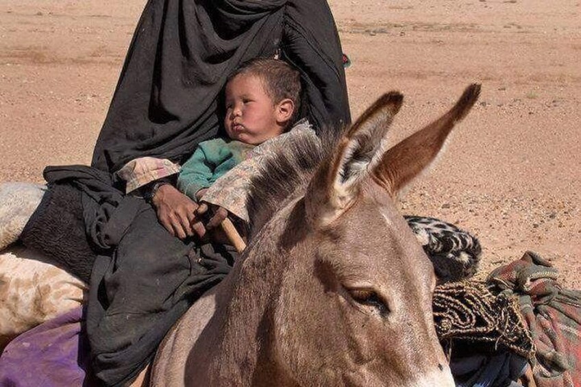 Shared Marrakech to Fes desert tour