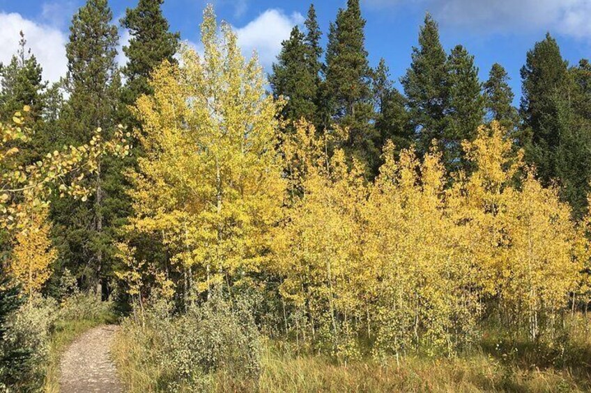 Wilderness & Wildlife Hiking - 3hrs