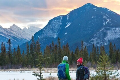 Canmore: Tour de senderismo por el desierto 3hrs - Tapas de hielo incluidas