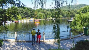 Show item 1 of 3. Alternative City Tour: Zhongshan Park, Navy Museum, Beer St.