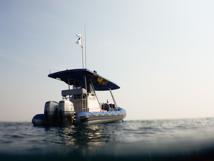 Show item 5 of 10. Popes Eye Marine Park Guided Snorkelling Boat Tour