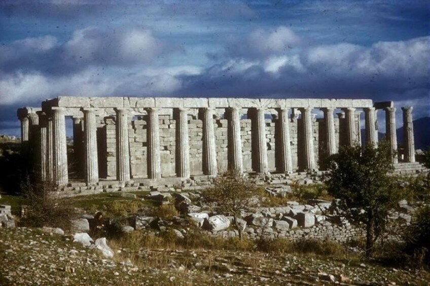 Day tour to Ancient Olympia,Kaiadas,Temple of Apollo,Ancient Sparta and Mycenae