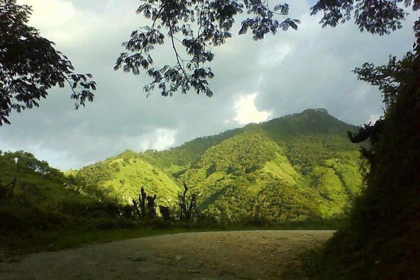 Panoramic views