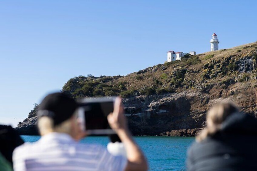 See the picturesque Taiaroa Head Lighthouse.