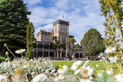 Dunedin Castle to Cruise Tour