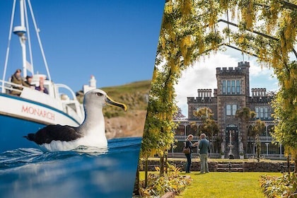 Dunedin Castle to Cruise Tour