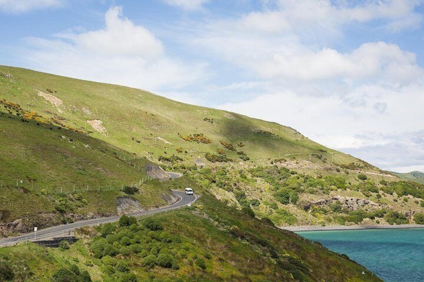 The beautiful scenic roads of the Otago Peninsula.