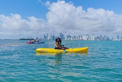Miami's Best Kayak & Paddleboard Rentals