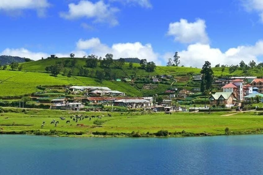 Nuwara Eliya/ Waterfall/ Tea Factory/ Food Taste - ASY Tours