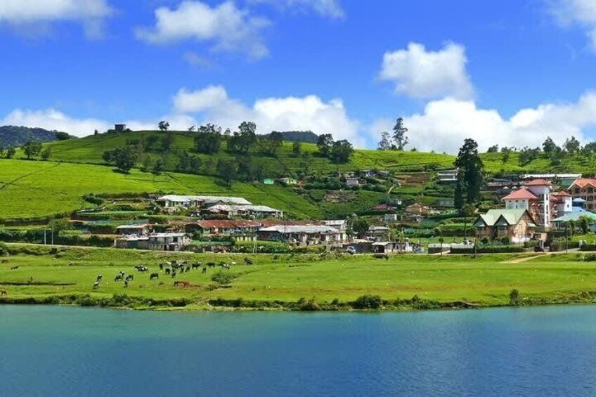 Explore Nuwara Eliya - Waterfall & Tea Factory Tour