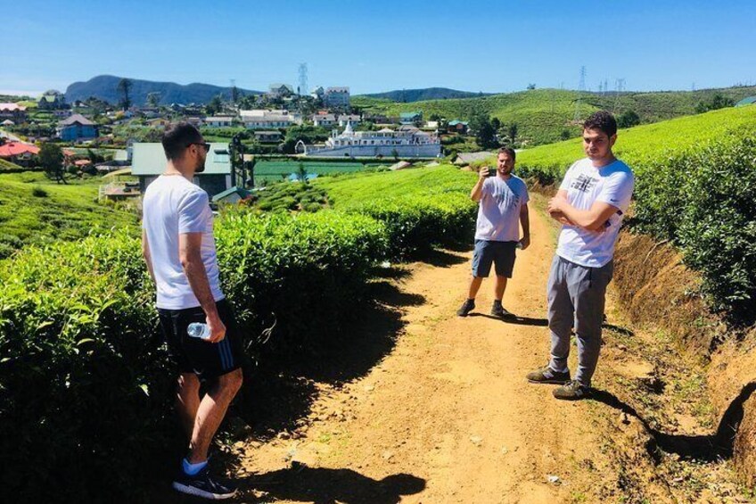Explore Nuwara Eliya - Waterfall & Tea Factory Tour