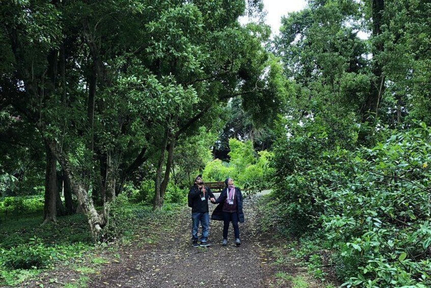 Alices Journeys Guided Walking Tours of Daylesford