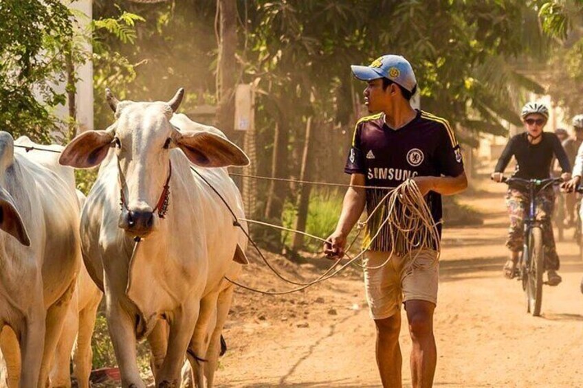 Magical Mekong River Island Biking Tours