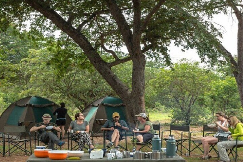 2 Days 2 Nights Camping Safari in Chobe National Park