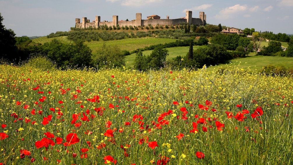 hiking on a field of flowers in Italy