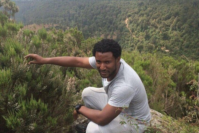 Escape from Addis to hike through beautiful Menagesha forest!