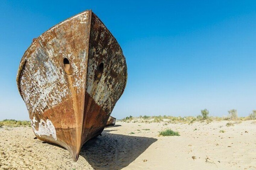 One Day Aral Sea Tour from Tashkent