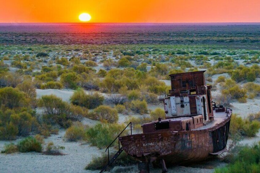 One Day Aral Sea Tour from Tashkent