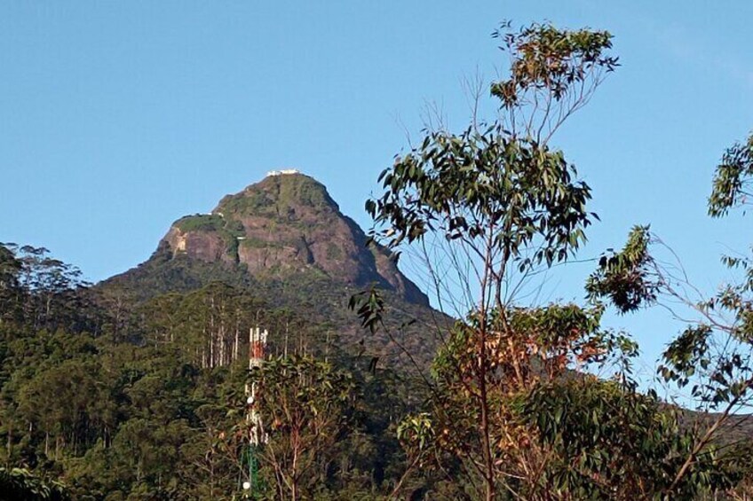 Adams Peak