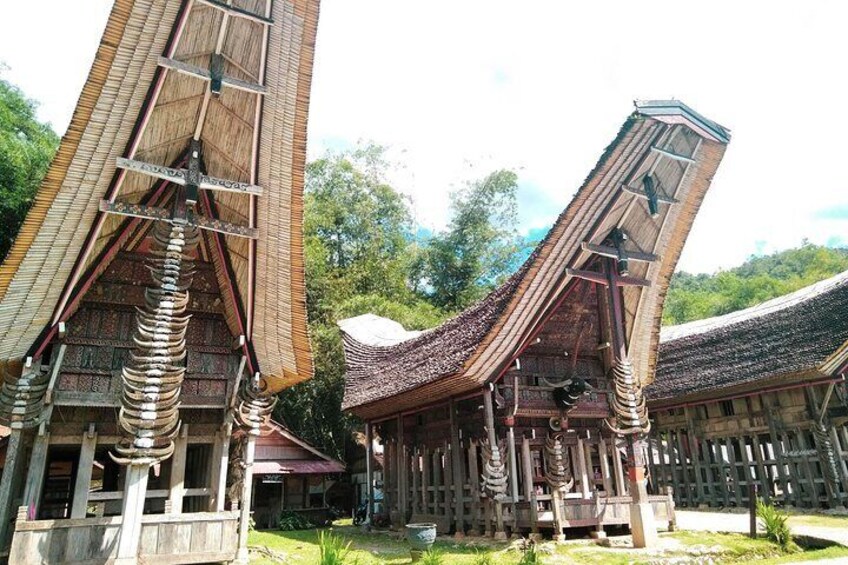 Toraja Cultural Exploration 4D 3N