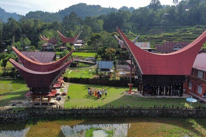 Toraja Tour Package 4 Days, Toraja Cultural Exploration organized by pacébo tours Ltd.