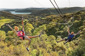 Flying Fox Ziplines at Waiheke Island