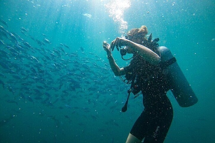 Discover SCUBA Diving in Beautiful Unawatuna Bay