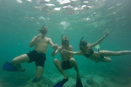 Snorkeling On Beautiful Rock Island - Unawatuna by Boat