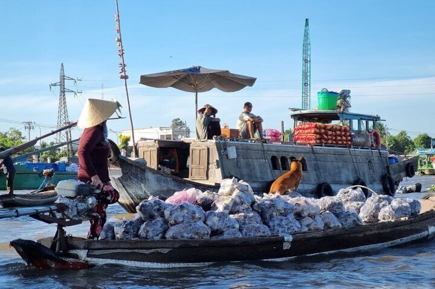 Private Mekong Delta Tour 2 Days + 1 Night