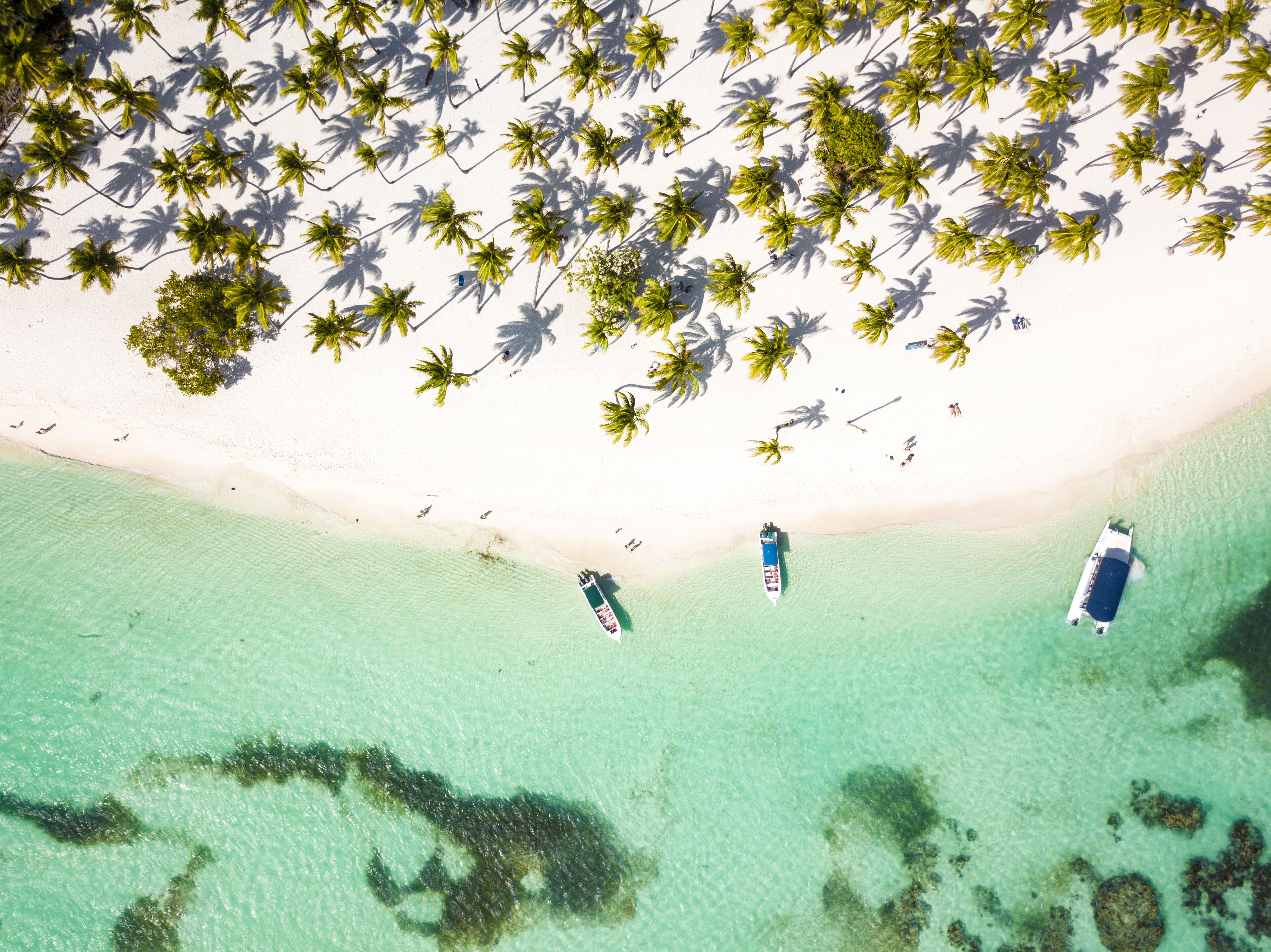 catamaran cruise to saona island