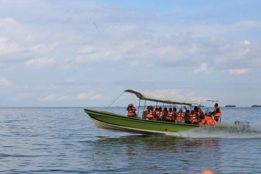 water transport to Ngamba island