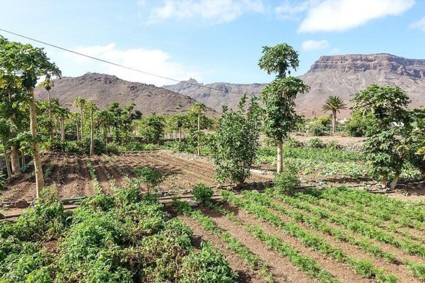 Agricultural valley of Calhau