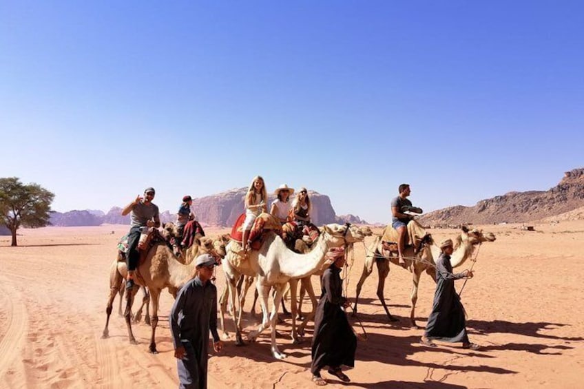 Camel Riding, Wadi Rum