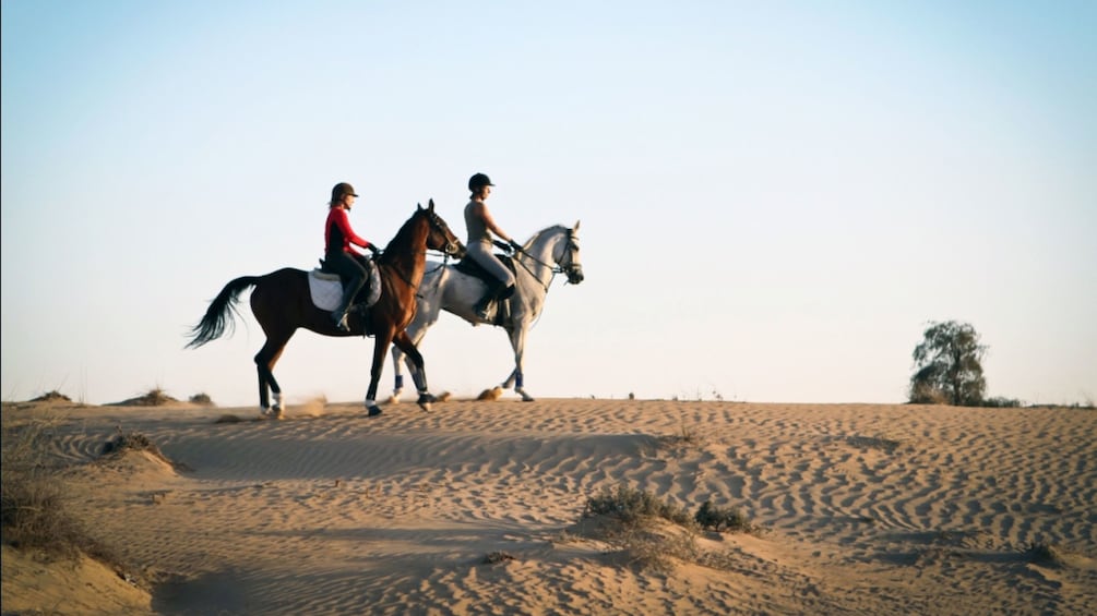 Horseback riders in a desert in Dubai