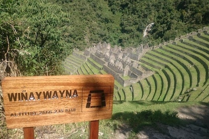 Short Inca Trail 2 Days to Machu Picchu || Private Service ||