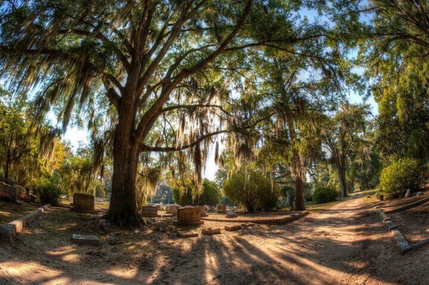 Savannah's Bonaventure Cemetery Tour