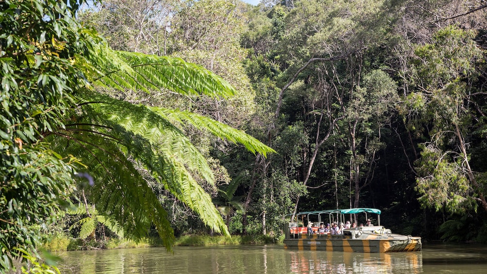 Boat gliding down the waters at the Rainforestation Nature Park in Australia 