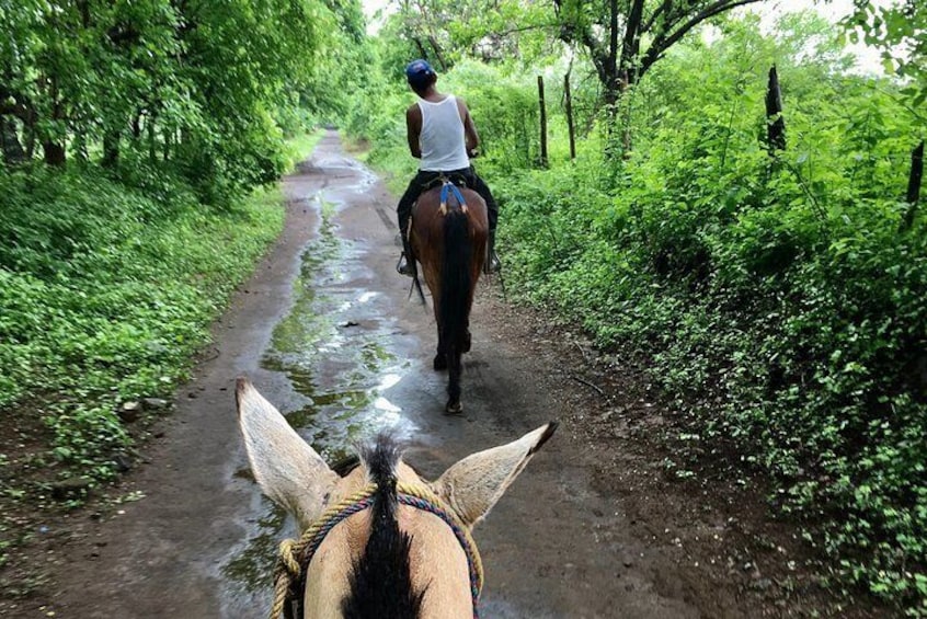 Horseback Riding Private Tour 