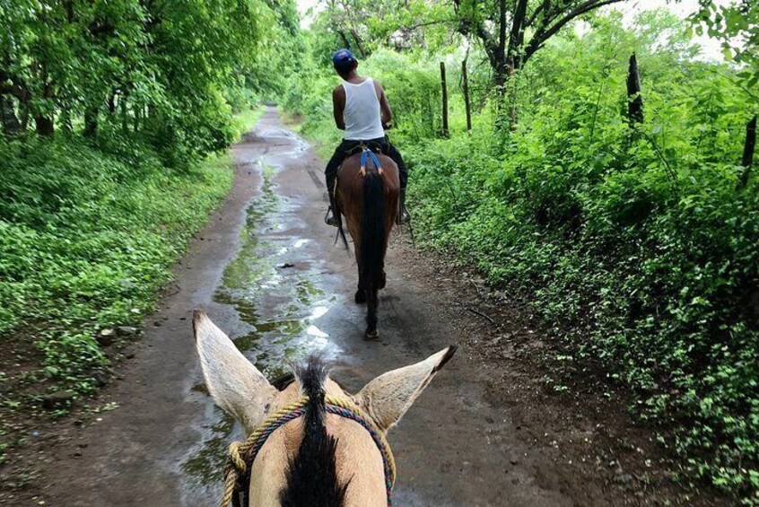 Horseback Riding Private Tour