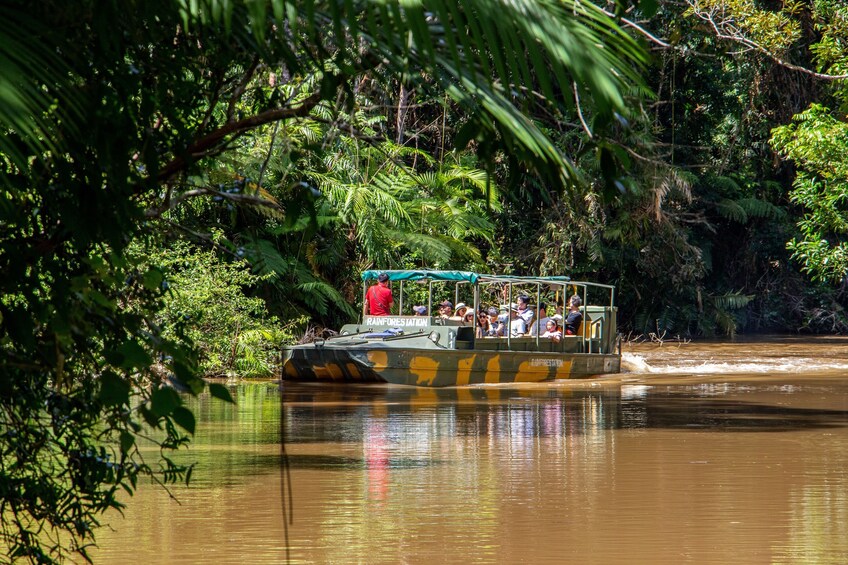 Rainforestation Nature Park, Butterfly Sanctuary & Kuranda Village