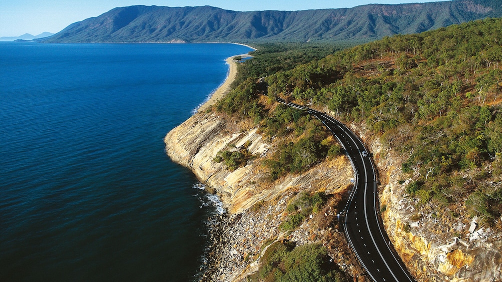 Activity Cape Tribulation, Daintree and Wildlife Tour