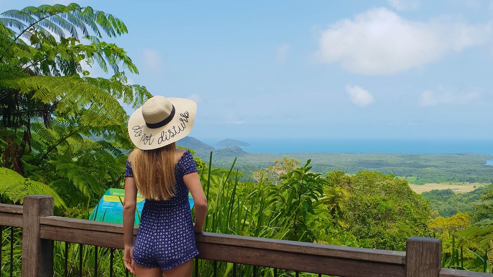 Activity Cape Tribulation, Daintree and Wildlife Tour